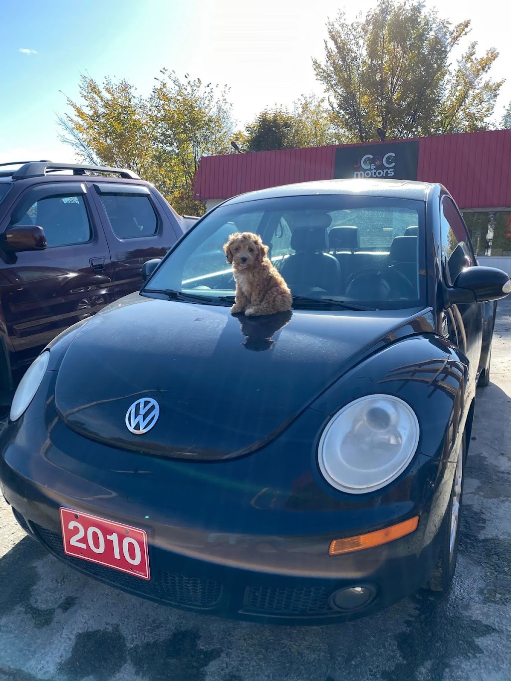 JSC Auto Sales Inc | 421 King St E, Cobourg, ON K9A 1M5, Canada | Phone: (647) 470-9092