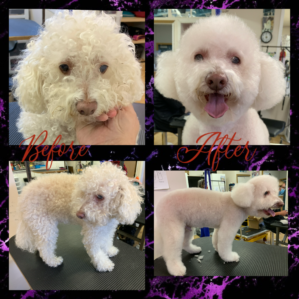 The Dogs Paw | 1423 Brunette Ave #207, Coquitlam, BC V3K 7A2, Canada | Phone: (778) 879-7694