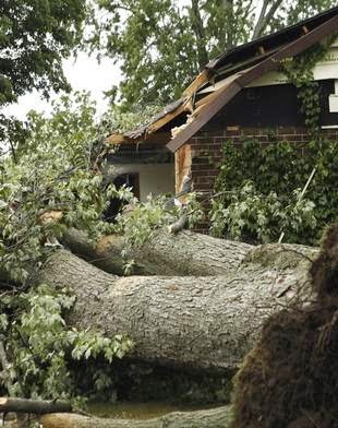 BELFOR Property Restoration | 3012 Boys Rd, Duncan, BC V9L 6W4, Canada | Phone: (250) 746-0228