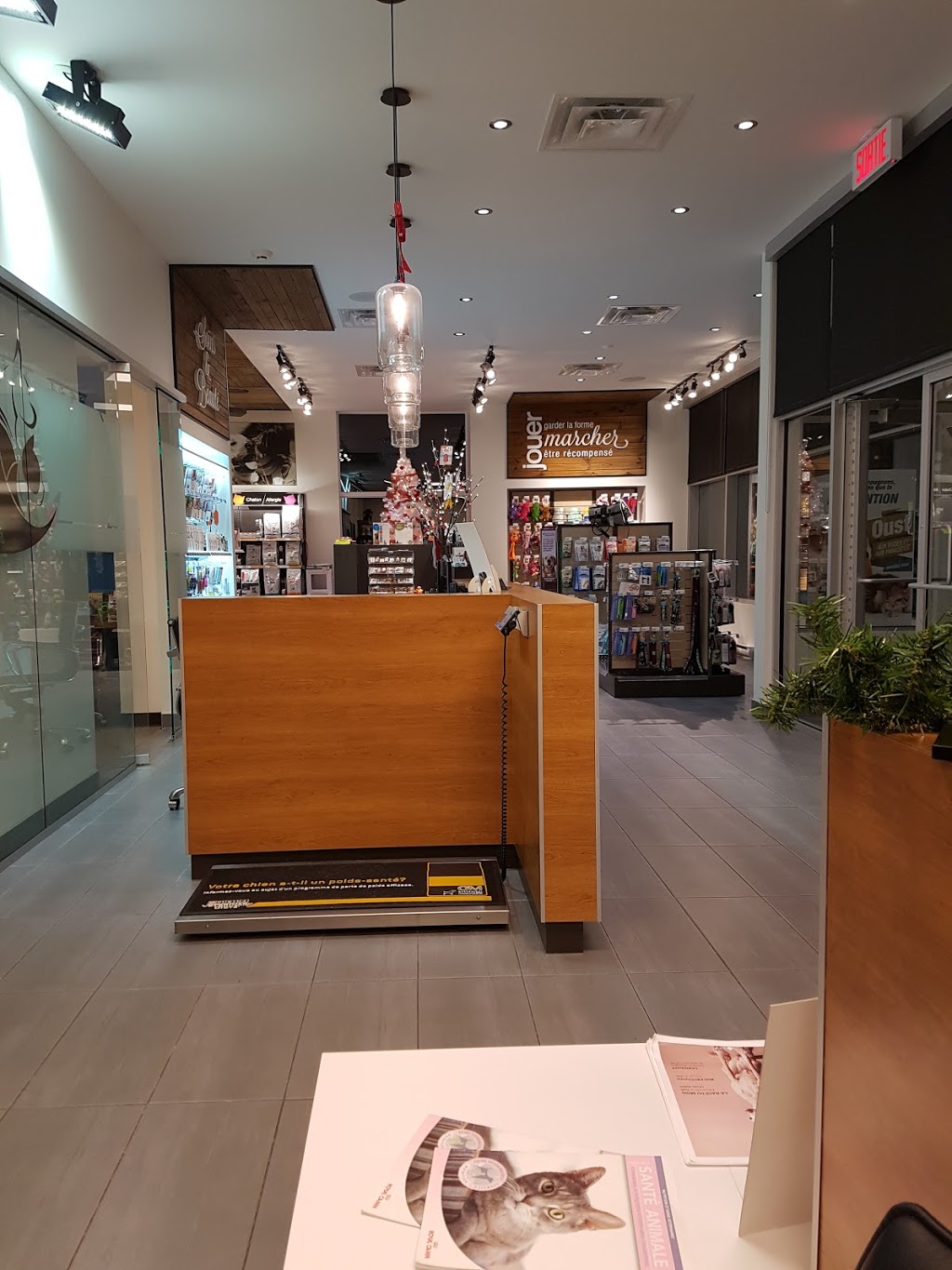 Clinique Vétérinaire Donnacona | 439 QC-138, Donnacona, QC G3M 0A9, Canada | Phone: (418) 285-0473