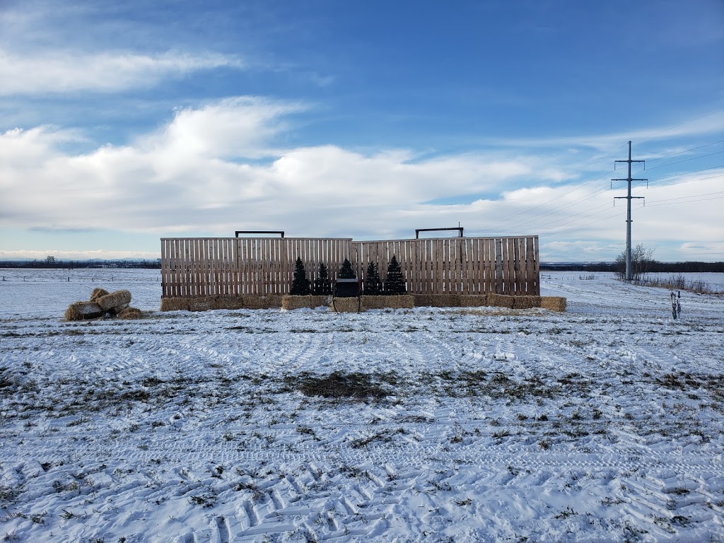 Selfies with Santa | Red Deer County, AB T0M 0K0, Canada | Phone: (403) 304-2601