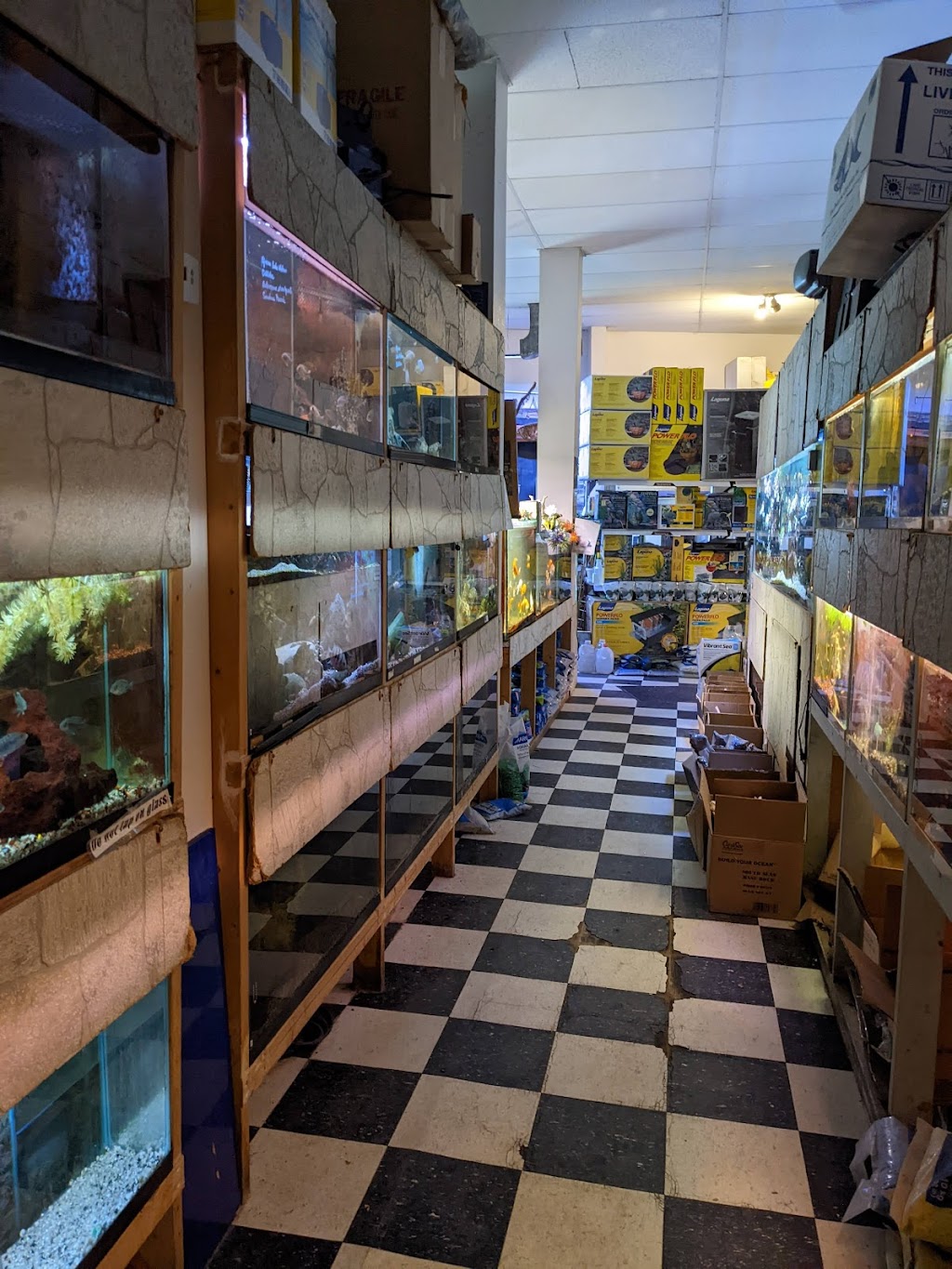 Bird Shop & Aquariums | 1034 Main St, Winnipeg, MB R2W 3R1, Canada | Phone: (204) 582-1370