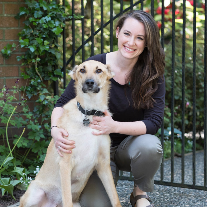 Mountainside Animal Hospital | 2580 Capilano Rd, North Vancouver, BC V7R 4H2, Canada | Phone: (604) 973-1247