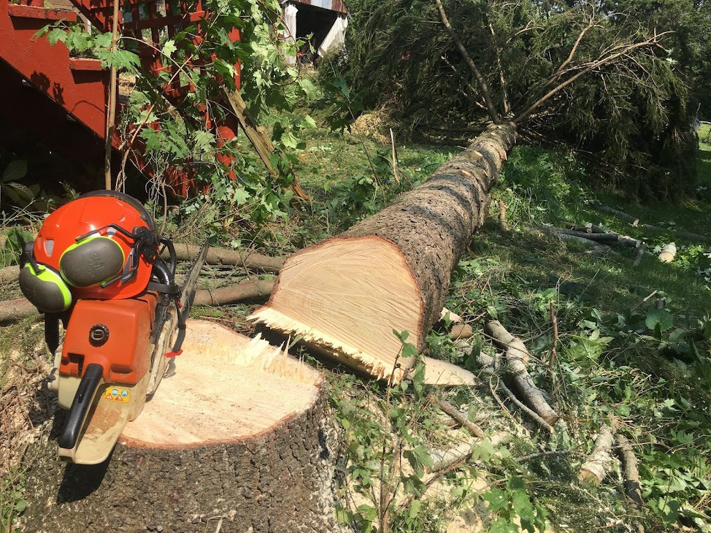 Icon Tree Service | 1659A Line 41, New Hamburg, ON N3A 4A2, Canada | Phone: (519) 778-4788