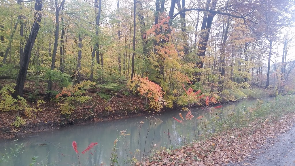 Bruce Trail | Unnamed Road, Fonthill, ON L0S 1E6, Canada