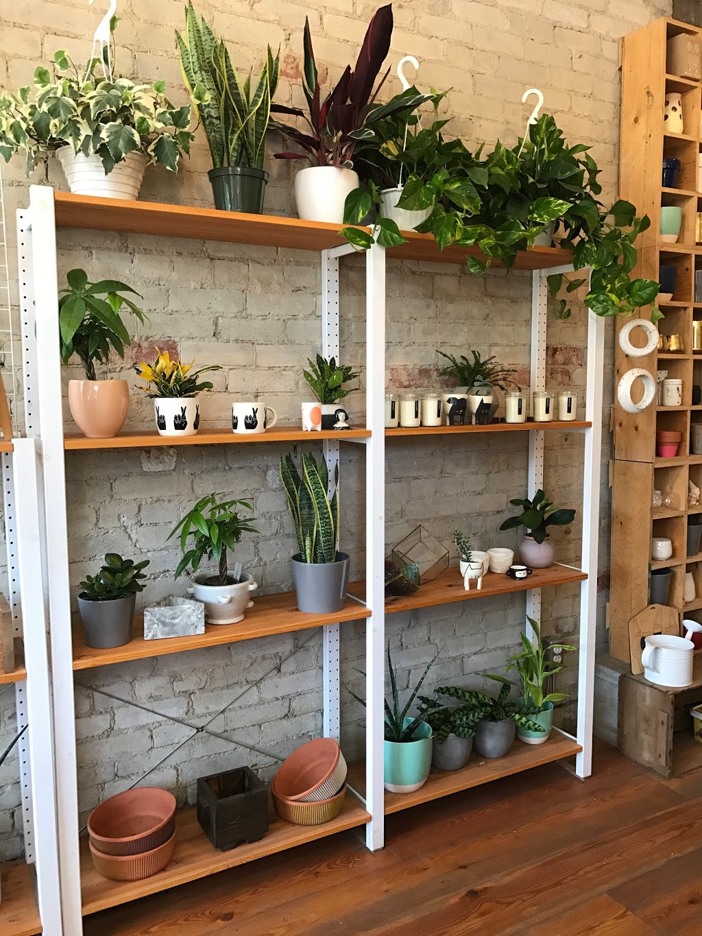 Urban Gardener | 1640 Dupont St, Toronto, ON M6P 3T2, Canada | Phone: (905) 626-6281