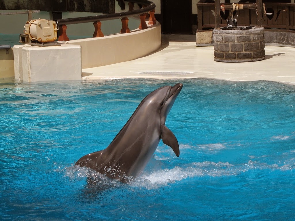 MarineLand | 7657 Portage Rd, Niagara Falls, ON L2E 6X8, Canada | Phone: (905) 356-9565