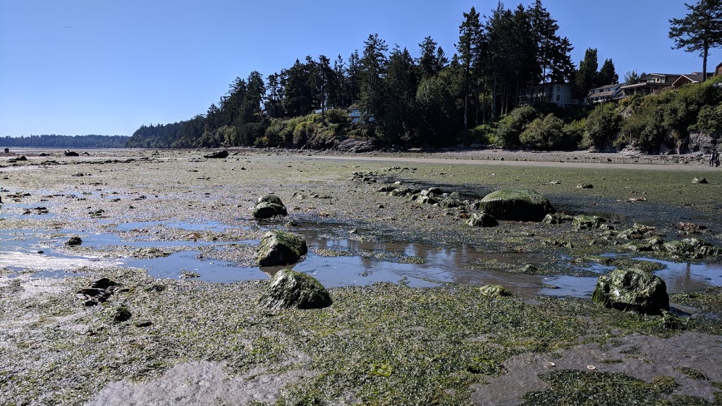 Cordova Bay Park | 4989 to, 4995 Cordova Bay Rd, Victoria, BC V8Y 2K1, Canada
