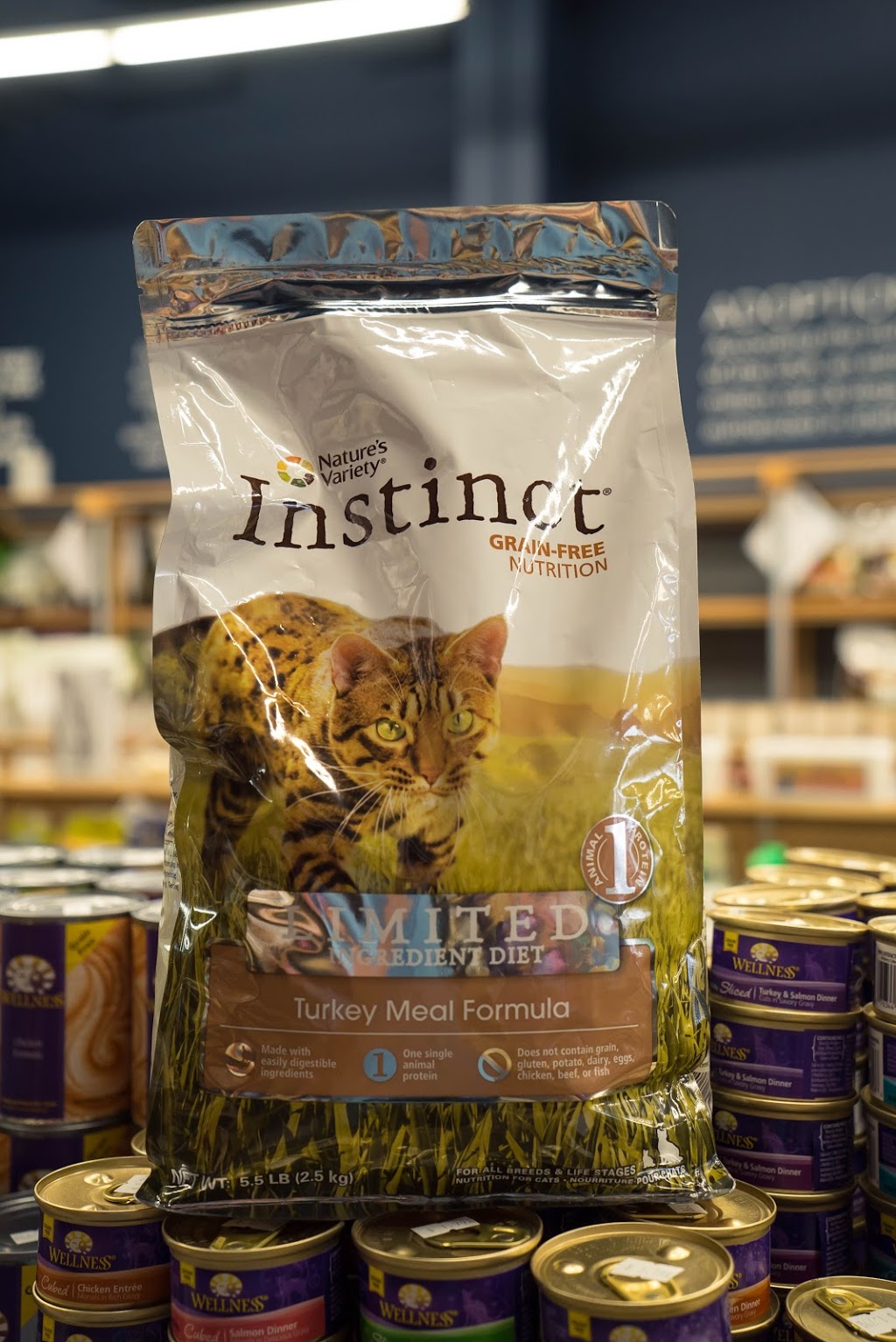 Pet Planet Royal Oak | 8650, 7131 112 Ave NW #7131, Calgary, AB T3R 0R5, Canada | Phone: (403) 263-3332