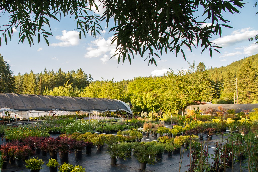Durands Nursery | 9 Johnson Rd, Christina Lake, BC V0H 1E2, Canada | Phone: (250) 447-6299