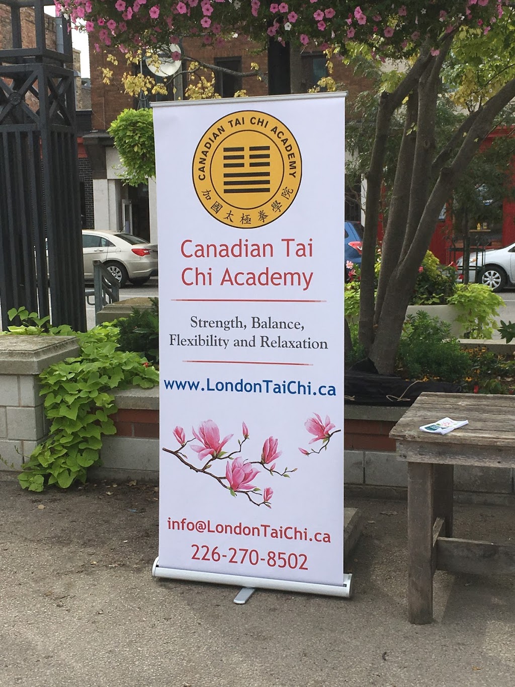 Canadian Tai Chi Academy - London | 37 Beaconsfield Ave, London, ON N6C 1B6, Canada | Phone: (226) 270-8502