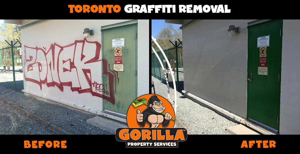 Gorilla Property Services | Jane Park Plaza Suite 98621, Toronto, ON M6N 5A6, Canada | Phone: (647) 559-9636