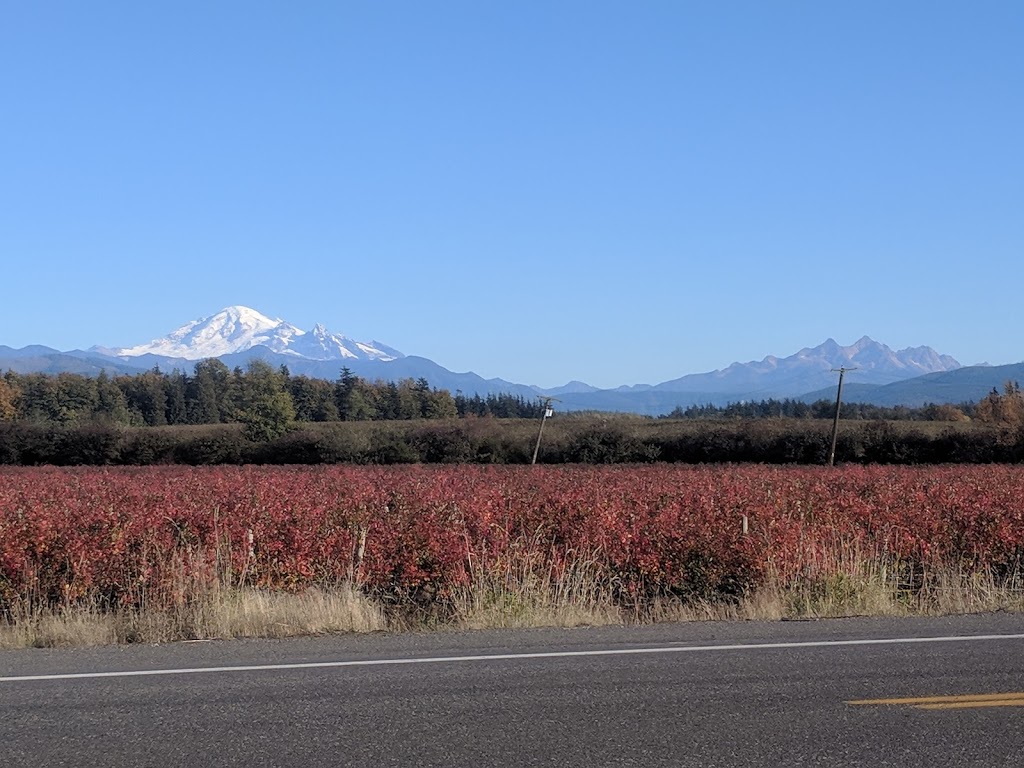 VI At Homestead Resort | 109 E Homestead Blvd, Lynden, WA 98264, USA | Phone: (360) 746-8314
