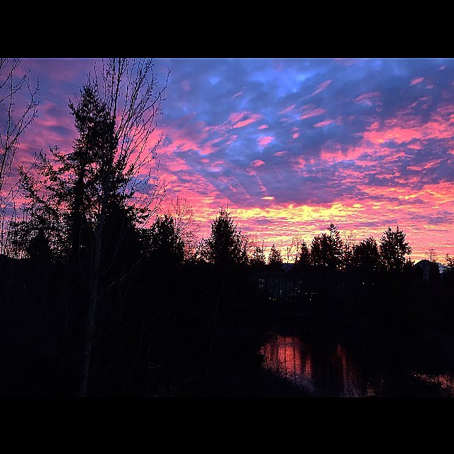 Hallmark on the Lake | 31622 Charlotte Ave, Abbotsford, BC V2T 3Z9, Canada | Phone: (604) 853-8993