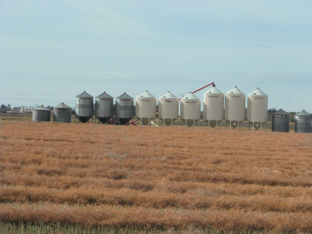 Camrose County | 3755 43 Ave, Camrose, AB T4V 3S8, Canada | Phone: (780) 672-4446