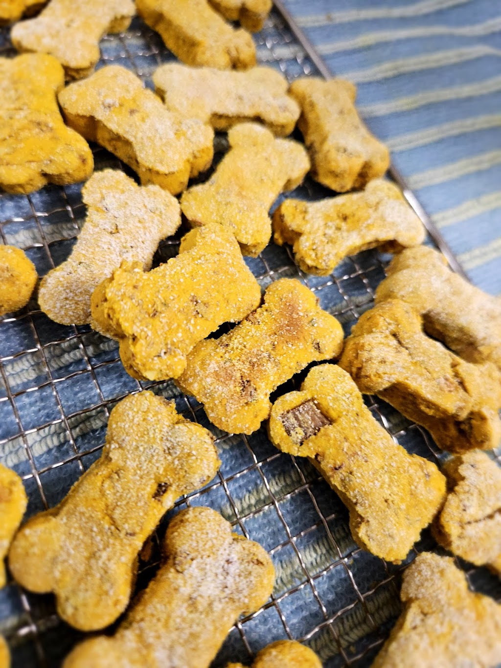 muttmixx | 14 Mary St, Havelock, ON K0L 1Z0, Canada | Phone: (289) 795-2262
