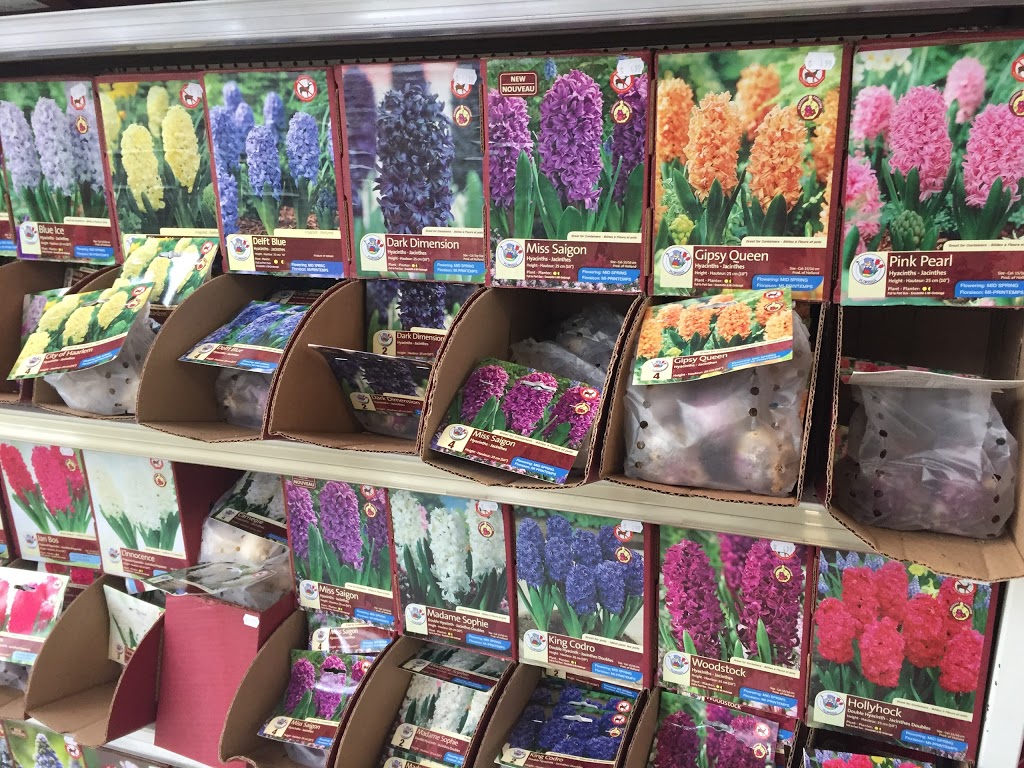 Bradford Greenhouses Garden Gallery | 4346 County Road 90, Springwater, ON L9X 1T7, Canada | Phone: (705) 725-9913