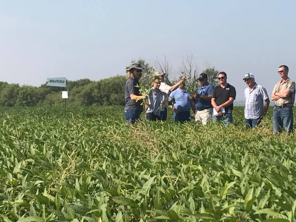 Discovery Co-op Farm Supply | 10060 Hereford St, North Battleford, SK S9A 3W6, Canada | Phone: (306) 445-9457