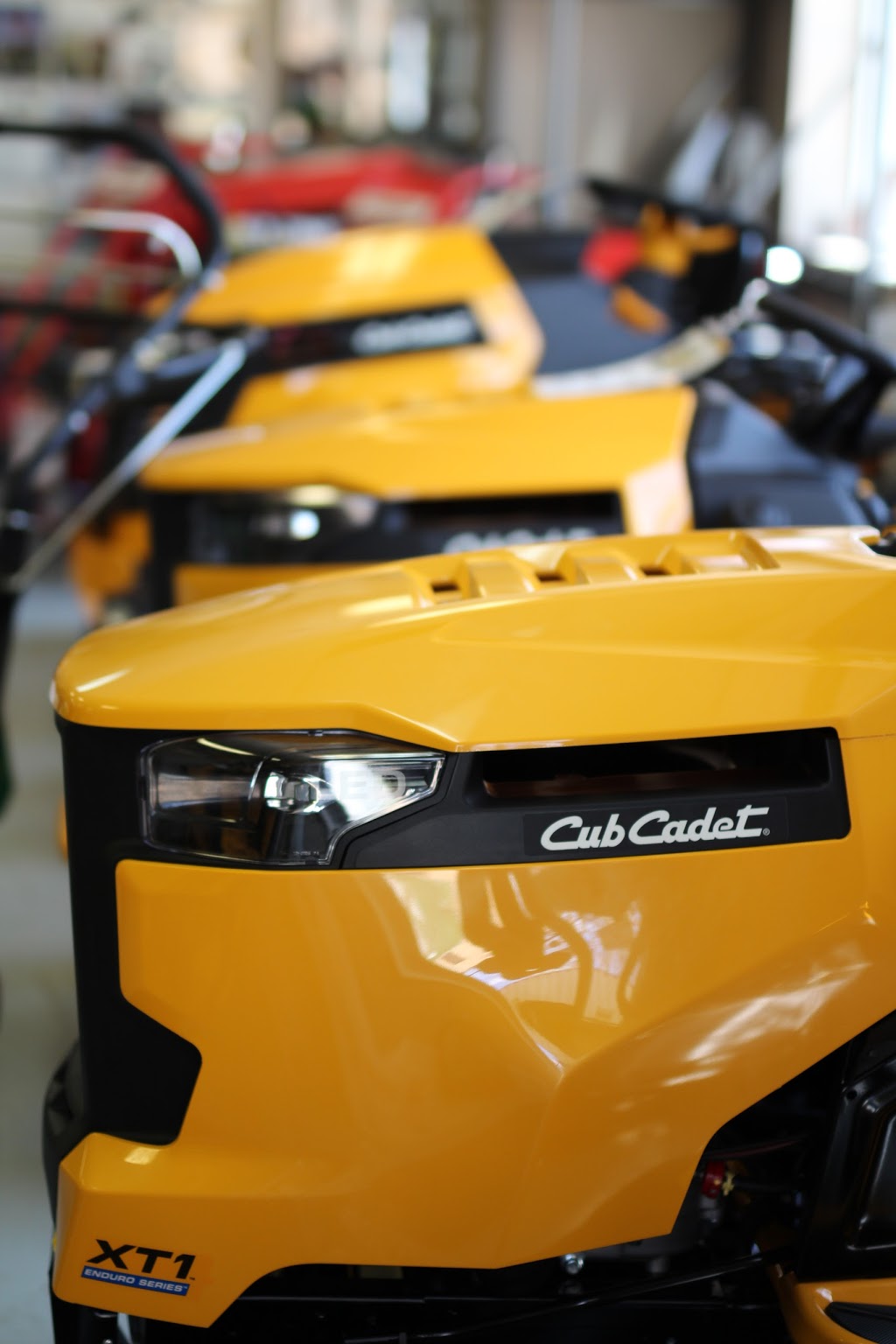 Martins Small Engines & Auto Clinic | 21 Industrial Dr, Elmira, ON N3B 2S2, Canada | Phone: (519) 669-2884