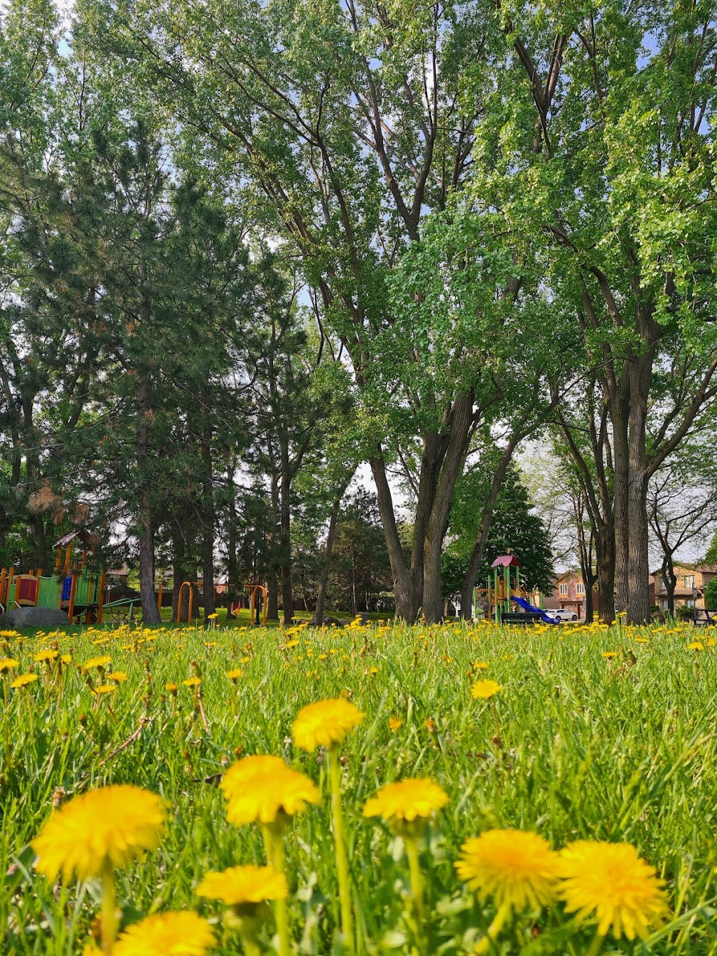 Paul-Séguin Park | Rue Raymond, LaSalle, QC H8P 3K9, Canada | Phone: (514) 367-1000