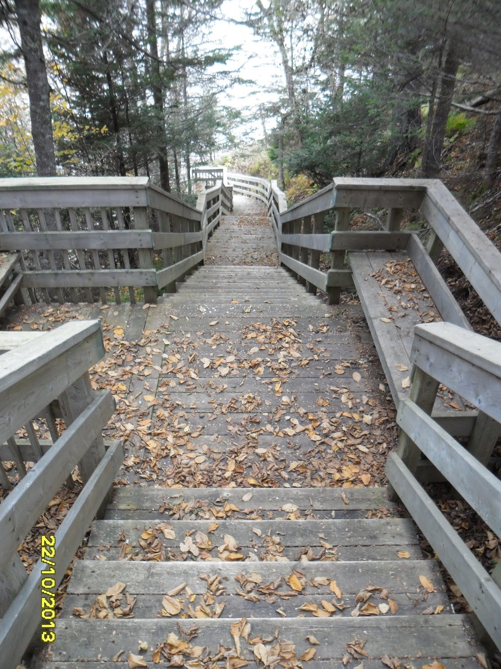 Waterfowl Observation Deck | St. Martins, NB E5R, Canada | Phone: (866) 386-3987