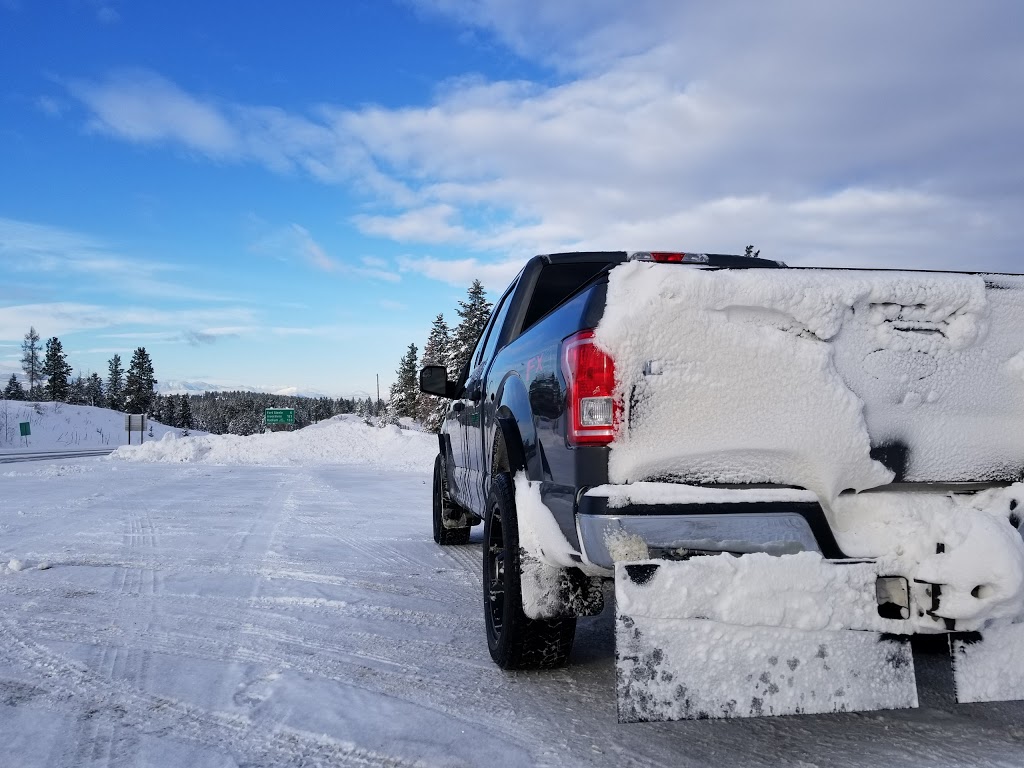Action Car And Truck Accessories - Calgary | 707 Barlow Trail SE, Calgary, AB T2E 8C2, Canada | Phone: (403) 237-7660