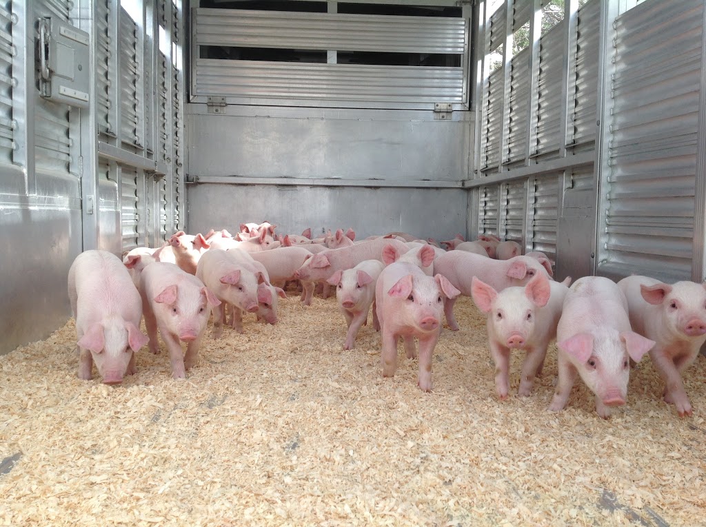 Maître Cochon | 105 Rang Fleury, Saint-Bernard-de-Michaudville, QC J0H 1C0, Canada | Phone: (450) 792-2003