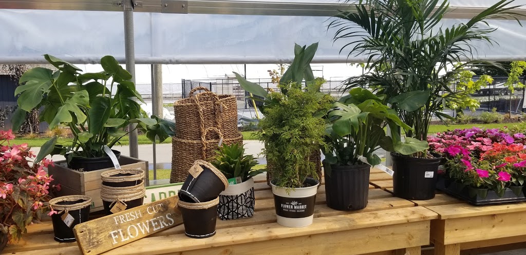 Superior Farms Inc aka Superior Growers, Superior Miniatures | 7995 Superior Rd, Lantzville, BC V0R 2H0, Canada | Phone: (250) 390-2435