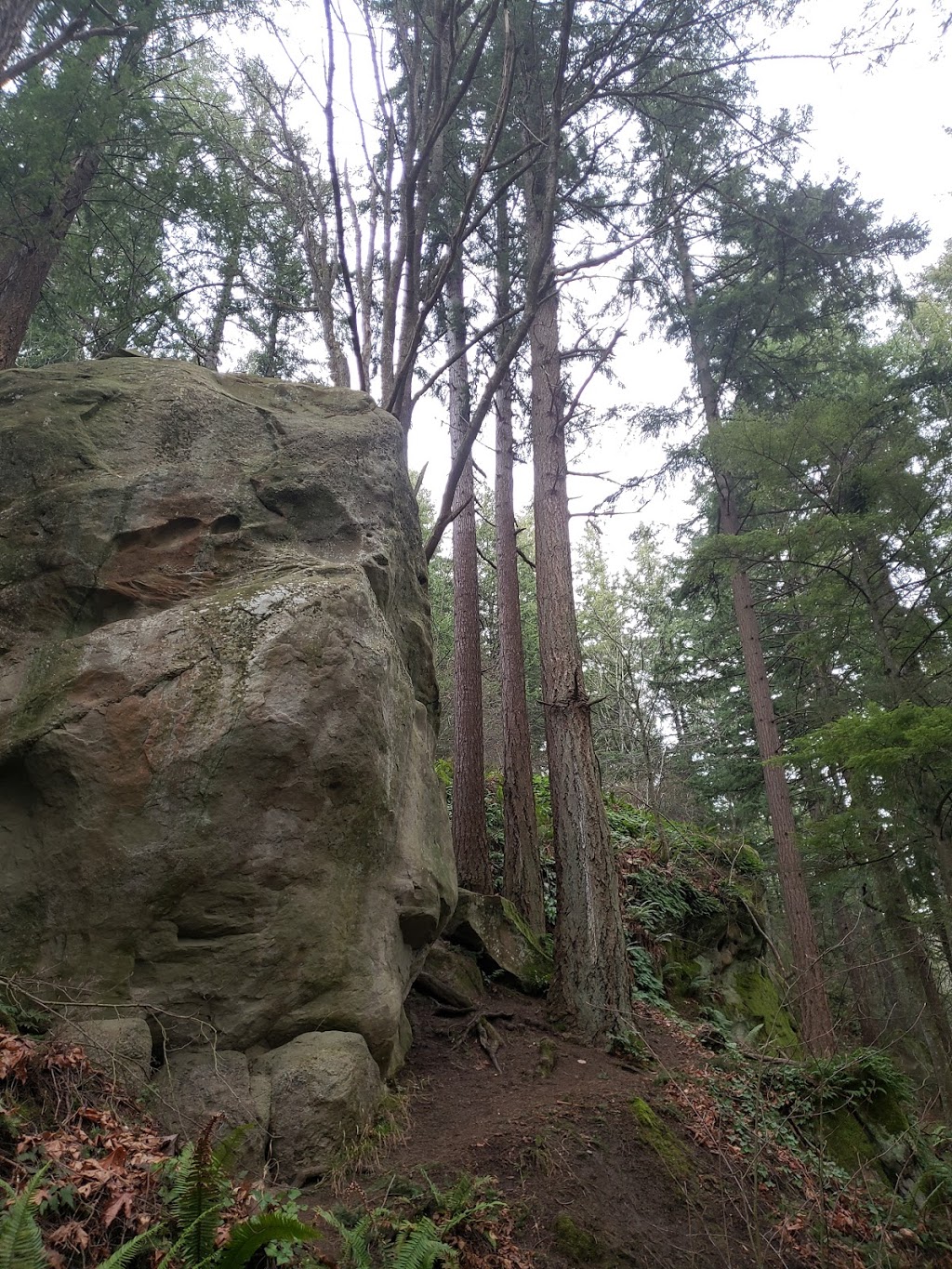 Arboretum Forest | Douglas Fir Trail, Bellingham, WA 98225, USA | Phone: (360) 778-7000