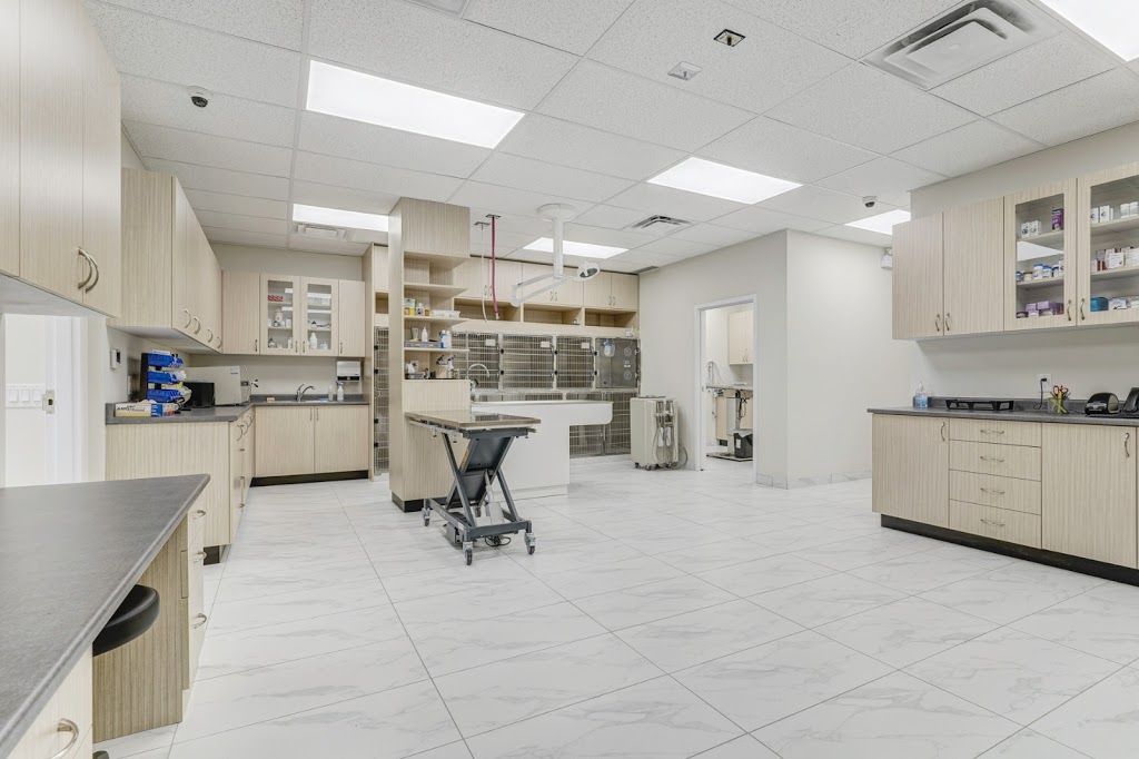 Springwood Animal Hospital (& HouseCall Services) | Springwood Animal Hospital, 1645 Dundas St E, Whitby, ON L1N 2K9, Canada | Phone: (905) 240-8100