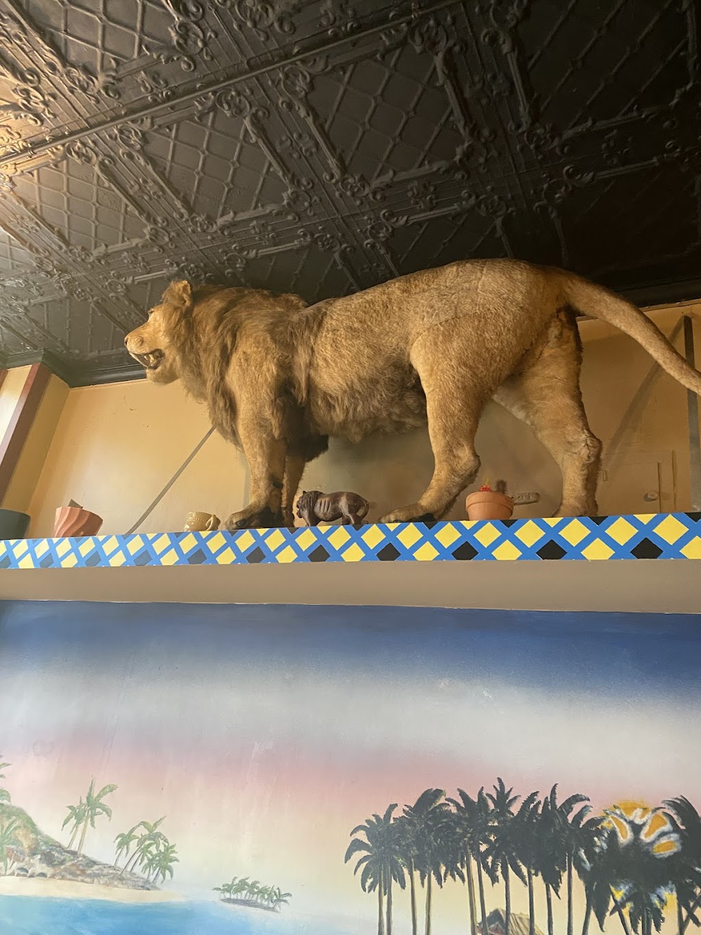 The Lions Den Cafe | 651 E 15th Ave, Vancouver, BC V5T 2R6, Canada | Phone: (604) 873-4555