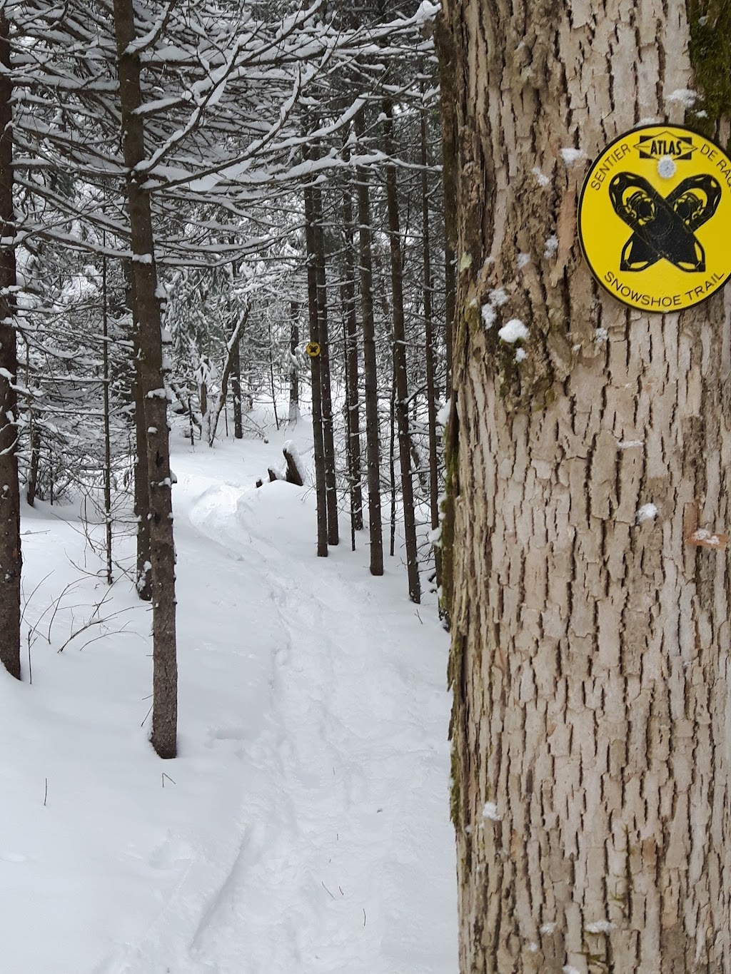 Kawartha Nordic Ski Club | Nordic Ski Ln, North Kawartha, ON K0L 2H0, Canada | Phone: (705) 931-5672