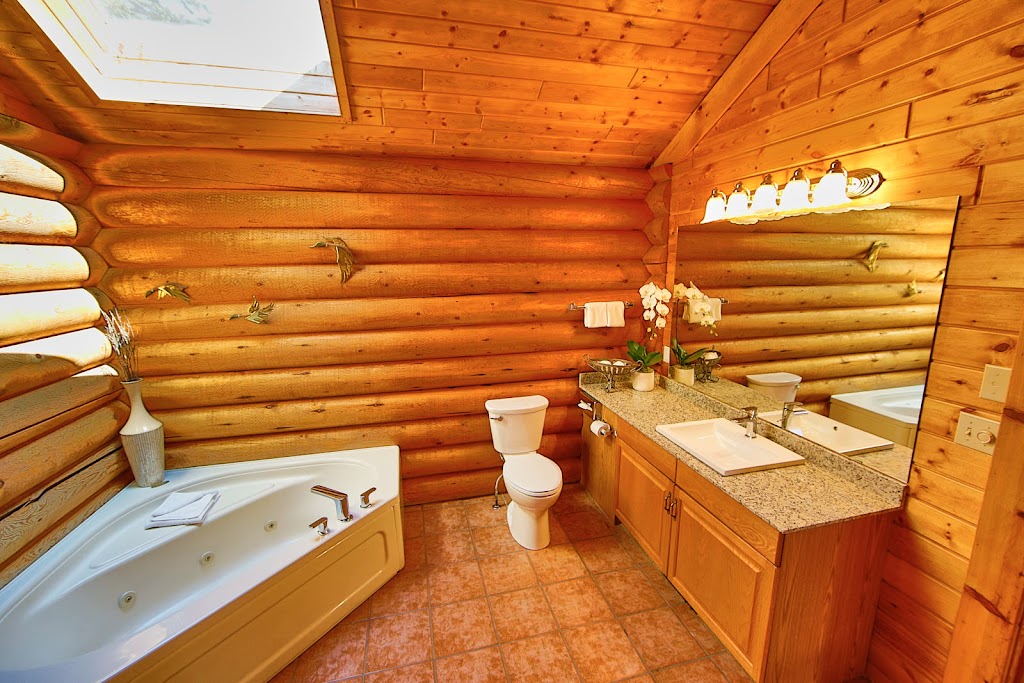 Castle Mountain Chalets | Banff-Windermere Hwy, Improvement District No. 9, AB T1L 1B5, Canada | Phone: (403) 762-3868