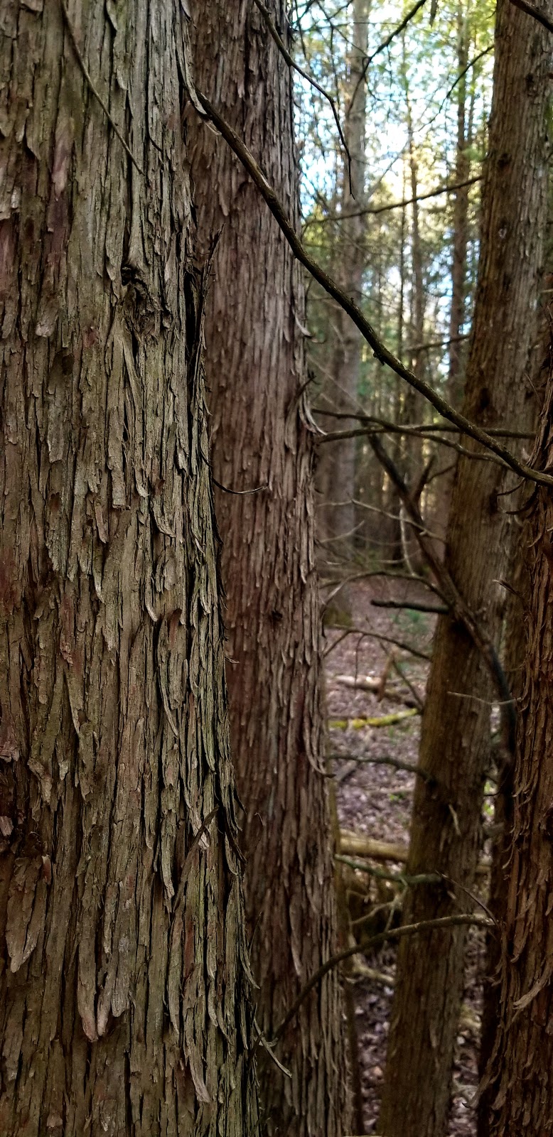 NCC Greenbelt P14 | W Hunt Club Rd, Ottawa, ON K2G 0C4, Canada