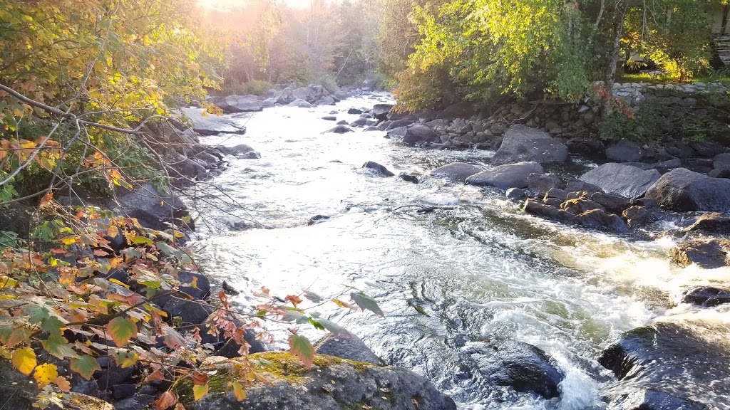 Parc des amoureux | Chemin de la Rivière, Val-David, QC J0T, Canada