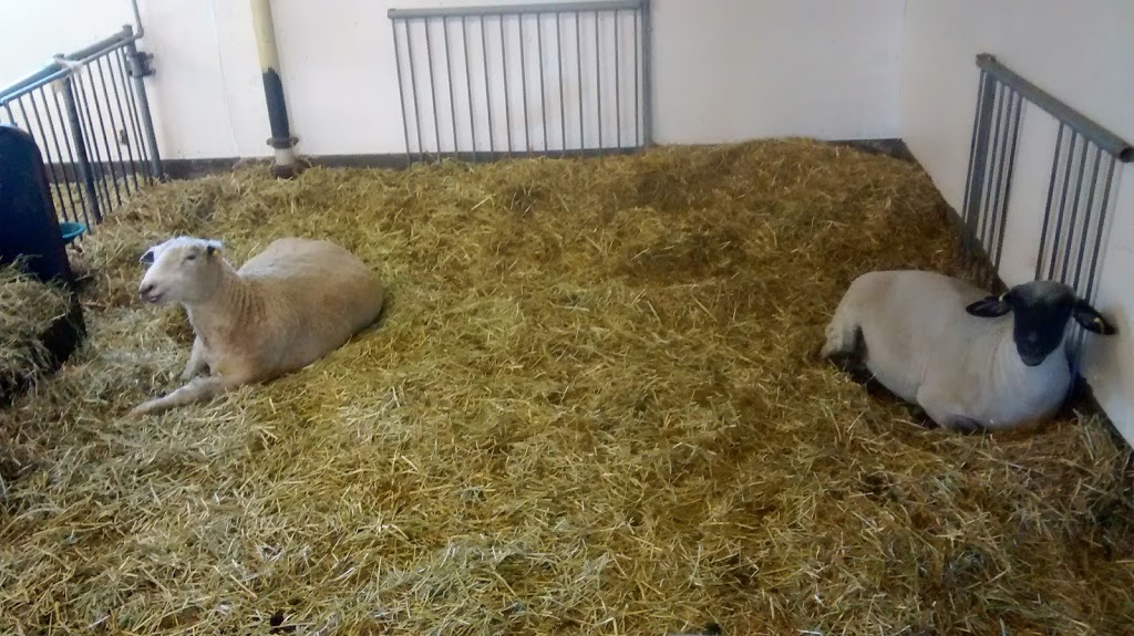 Small Animal Barn | Ottawa, ON K2C, Canada | Phone: (613) 991-3044