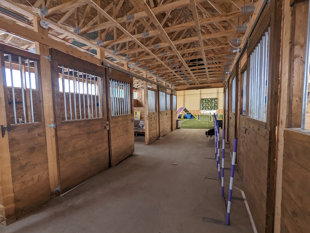 RUFF Athletics Facility | 130 Old Shediac Rd, Memramcook, NB E4K 1W1, Canada | Phone: (519) 830-3647