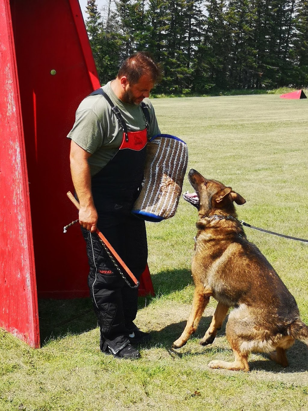 Winnipeg Working Dog Club | MB-101, Stony Mountain, MB R0C 3A0, Canada | Phone: (204) 793-1470