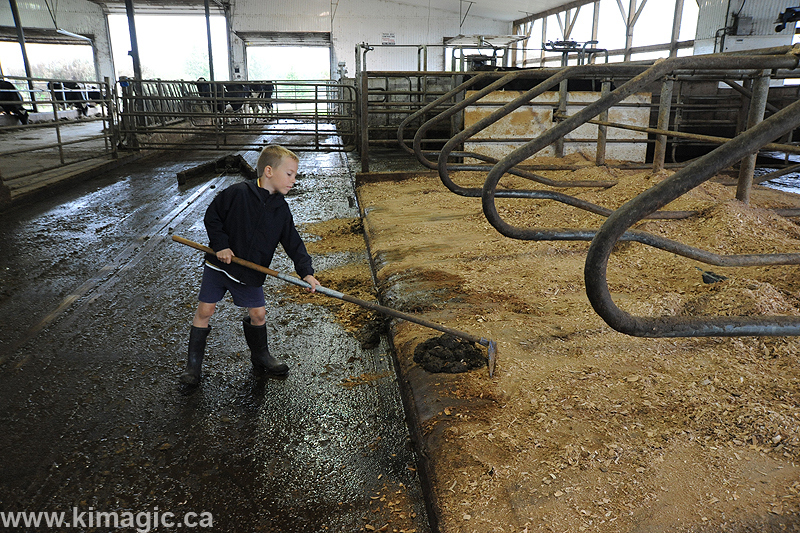 Stirling Rawdon (Township Of) | 2529 Stirling Marmora Rd, Stirling, ON K0K 3E0, Canada | Phone: (613) 395-3380