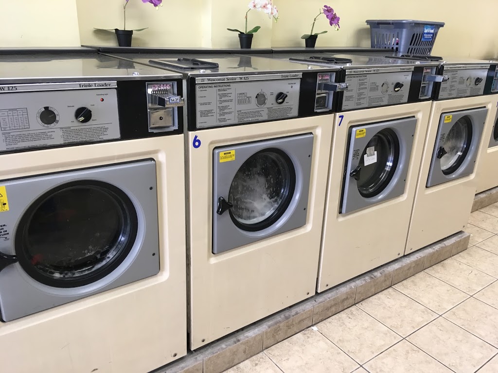 Quick Clean Coin Laundry | 558 Sheppard Ave W, North York, ON M3H 2R9, Canada | Phone: (416) 823-5251