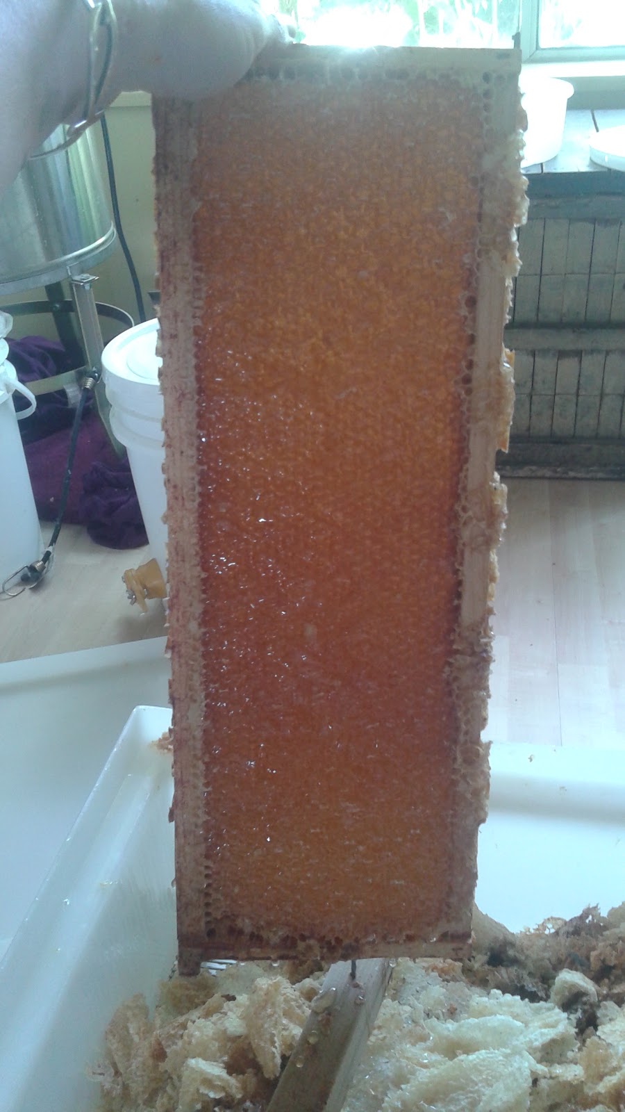 EquiFlora Micro Apiary | 7455 Carnarvon St, Vancouver, BC V6N 1K6, Canada | Phone: (604) 328-9416
