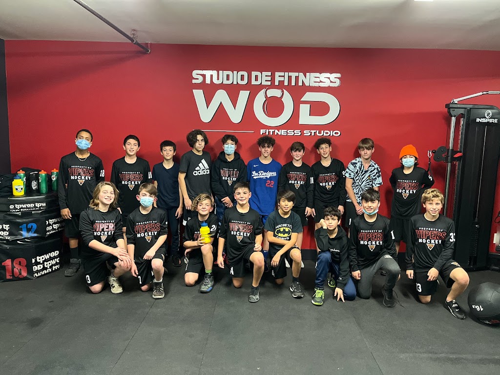 Centre de Fitness WOD Fitness Studio | 61D Bd Brunswick, Dollard-des-Ormeaux, QC H9B 2N4, Canada | Phone: (514) 799-6733