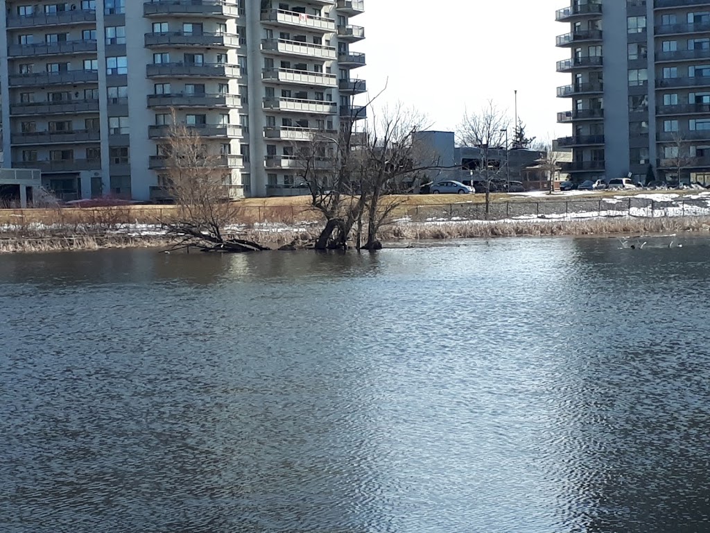 Riverside Park | 49 King St W, Cambridge, ON N3H 1B5, Canada | Phone: (519) 740-4681