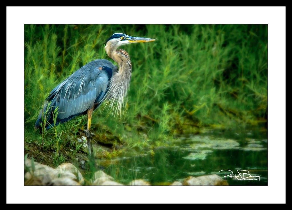 1-2-3-Photography (www.Halifax.Photography) | 320 Paula Dr, Hammonds Plains, NS B3Z 0H7, Canada | Phone: (905) 830-1000