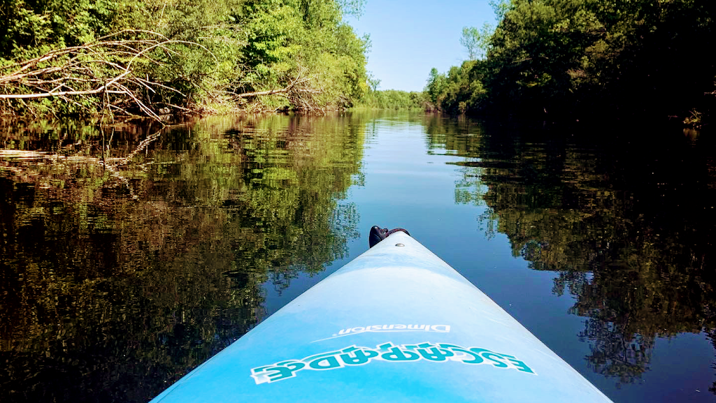 Up River Rentals | 5-269 Upper Scotch Line, Perth, ON K7H 3C5, Canada | Phone: (613) 439-1688