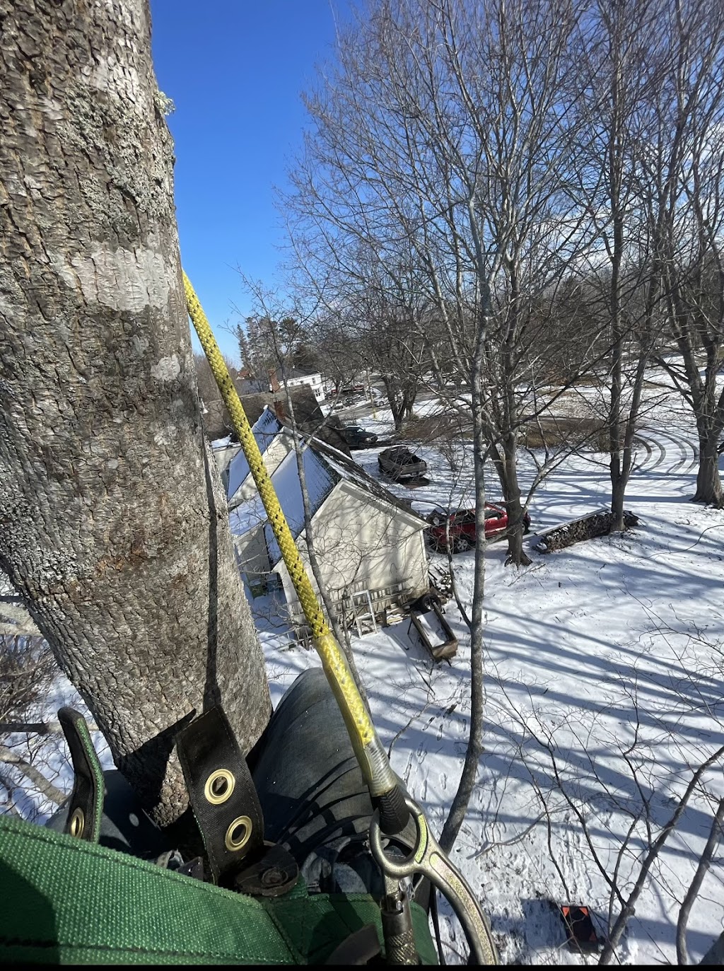 Indie Tree Service | 9717 Nova Scotia Trunk 10, Nictaux, NS B0S 1P0, Canada | Phone: (902) 840-3020