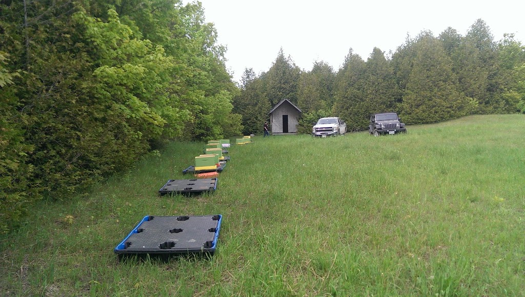 Fairhaven Farm | 315219 3 Line, Kimberley, ON N0C 1E0, Canada | Phone: (647) 227-6213