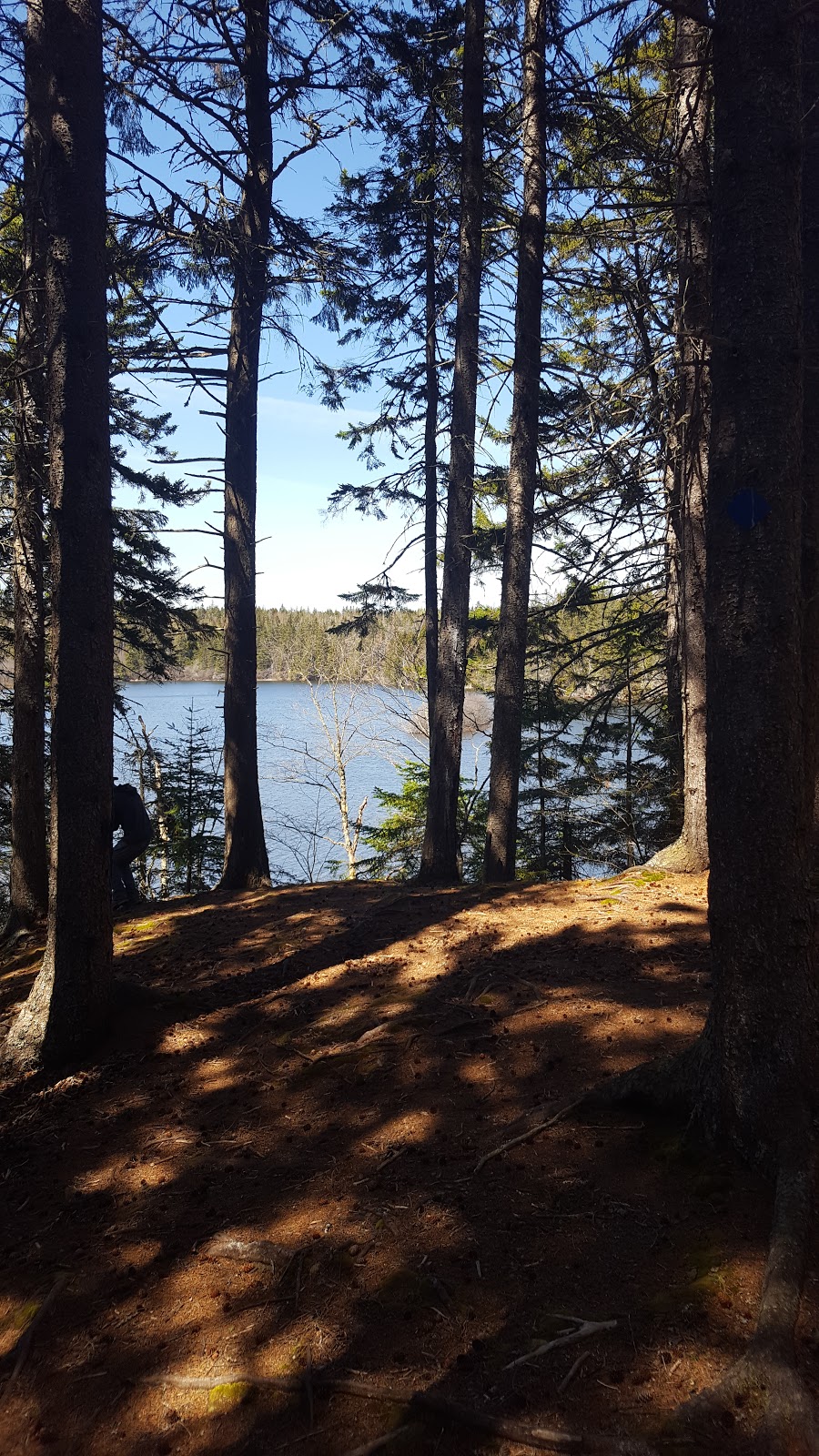 Chignecto National Wildlife Area | 930 Southampton Rd, Amherst, NS B4H 3Y4, Canada | Phone: (902) 426-1900