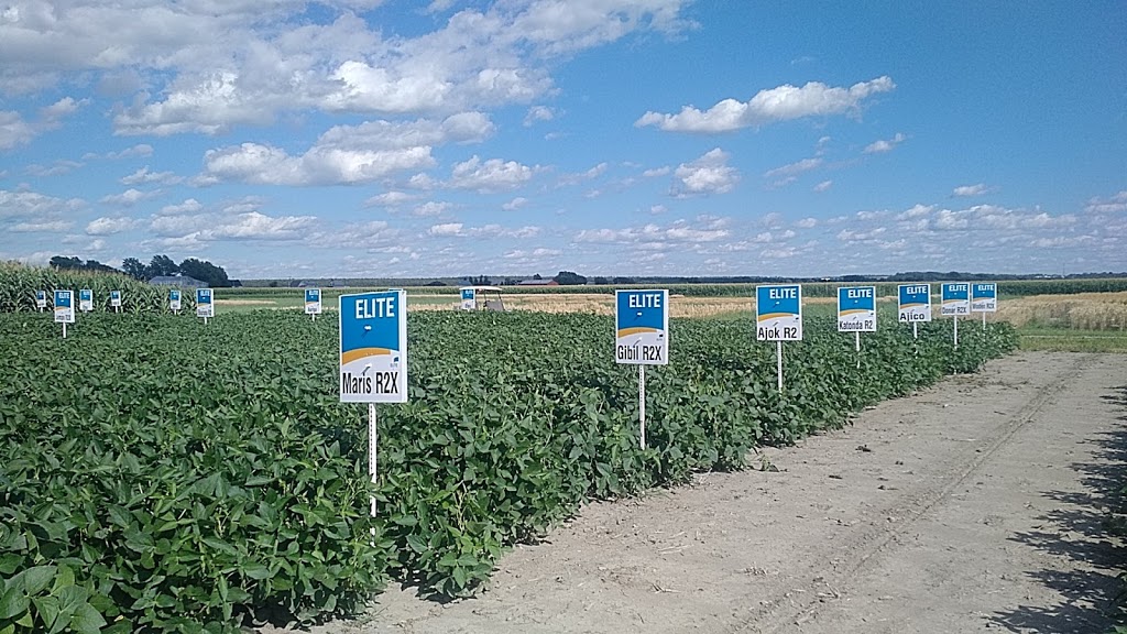 Ferme Recherche Et Développement Coop | 19235 Avenue Saint-Louis, Saint-Hyacinthe, QC J2T 5J4, Canada | Phone: (450) 799-2326