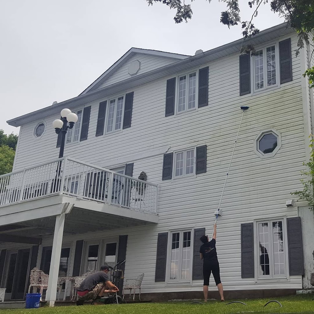 River Rose Cleaning Services | 66 William St N, Lindsay, ON K9V 4A2, Canada | Phone: (705) 341-3682